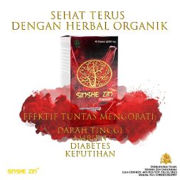 sinshe zin bandung semarang (1)