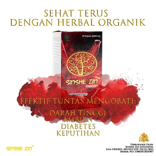 sinshe zin bandung semarang (1)